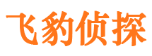 西双版纳外遇调查取证